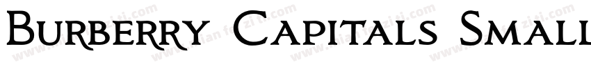Burberry Capitals Small Regular字体转换
